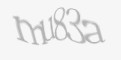 تصویر امنیتی