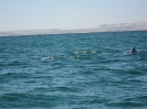 جزیره هنگام