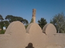 باغ دولت‌آباد یزد