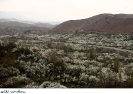 روستای خرو