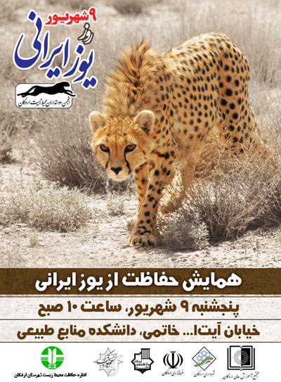 برگزاری همایش «یوز ایرانی» در اردکان