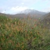 روستای نشتارود و قله خونکار
