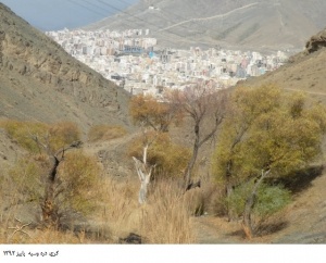 دره وسیه