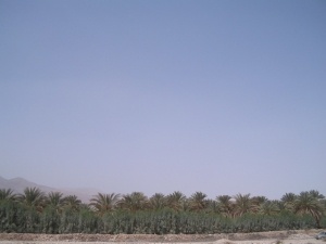 لارستان