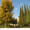 پاییز زیبای آرامگاه سعدی